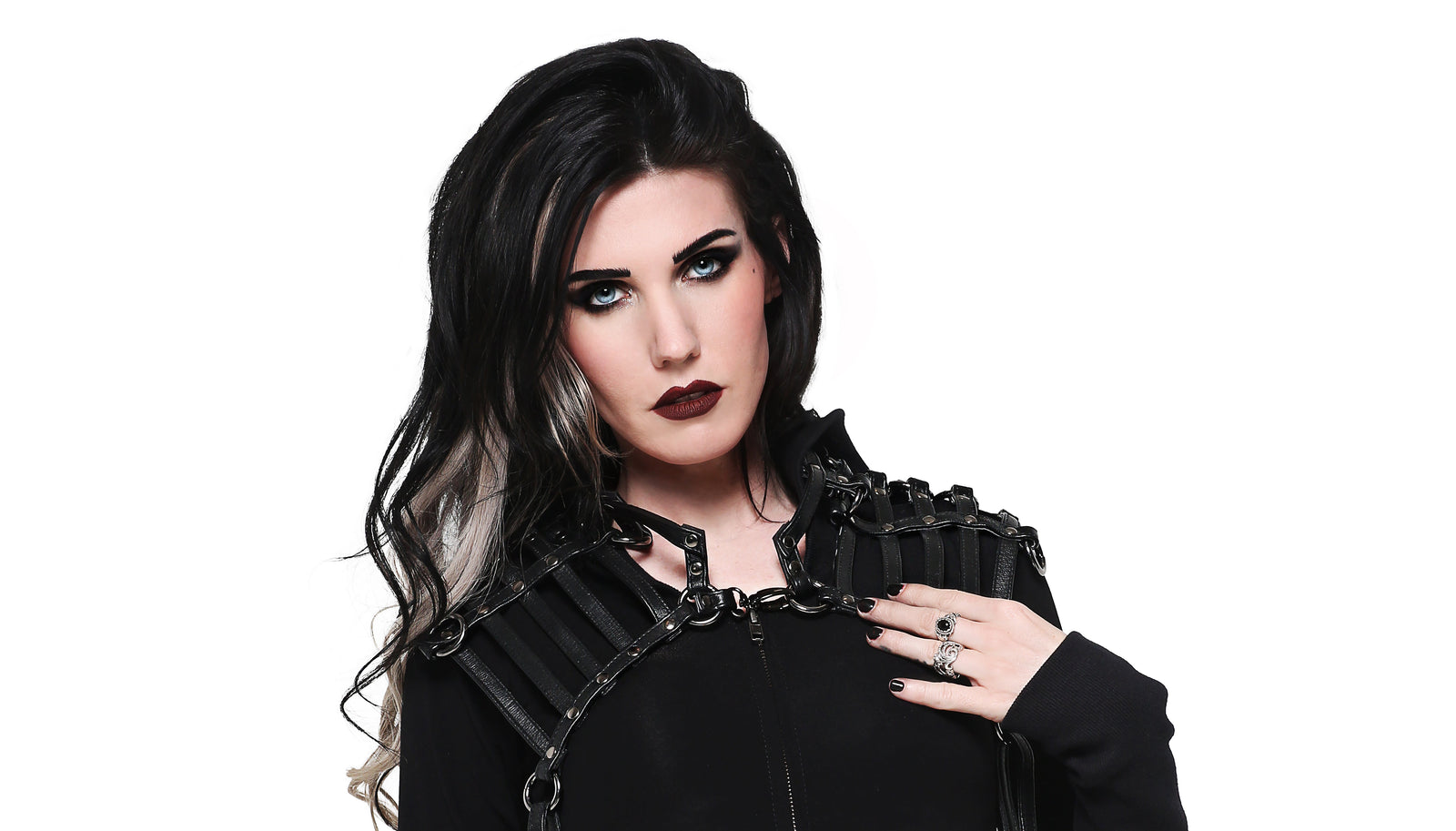 Harness, Holster, Bags, and Accessories