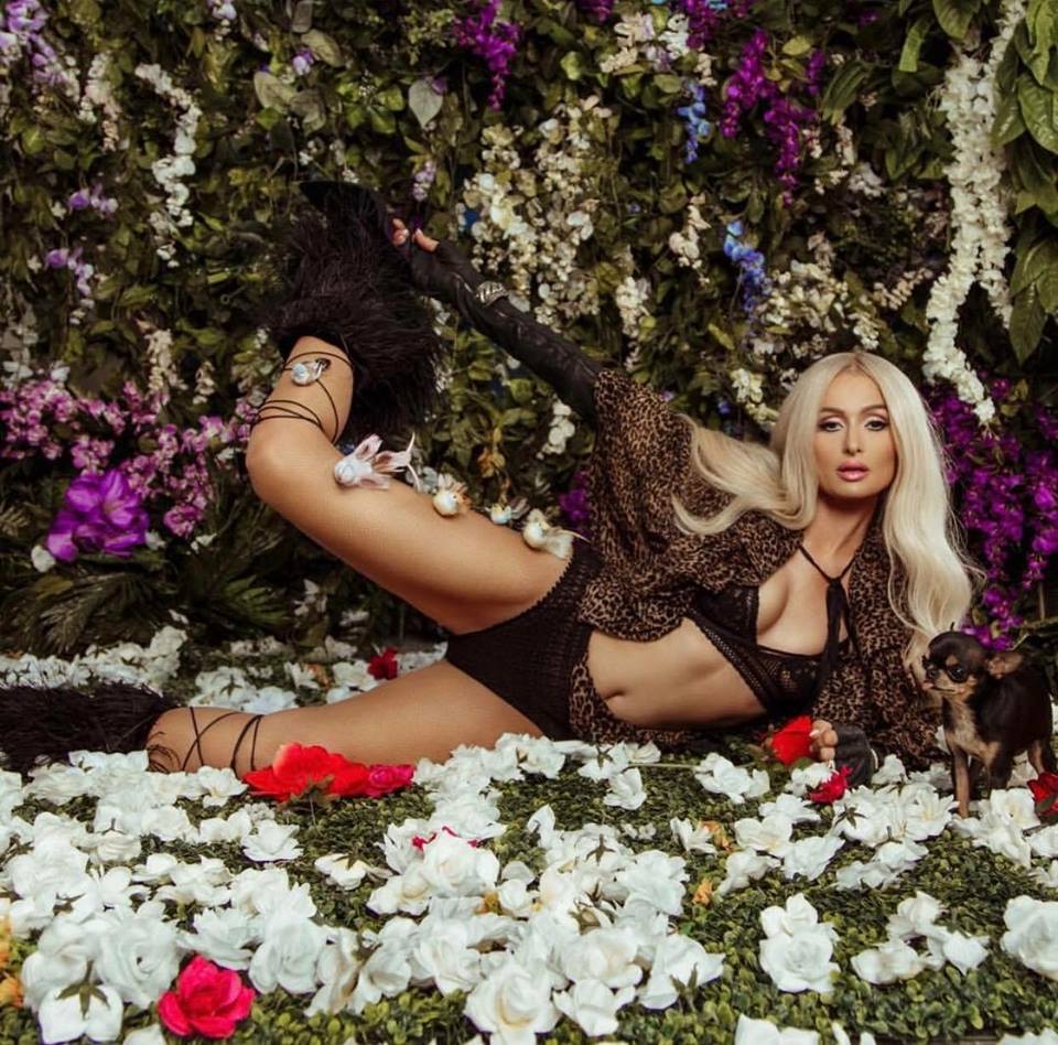 The Raven Gloves - M/L [SAMPLE SALE]