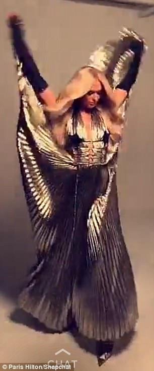 The Raven Gloves - M/L [SAMPLE SALE]