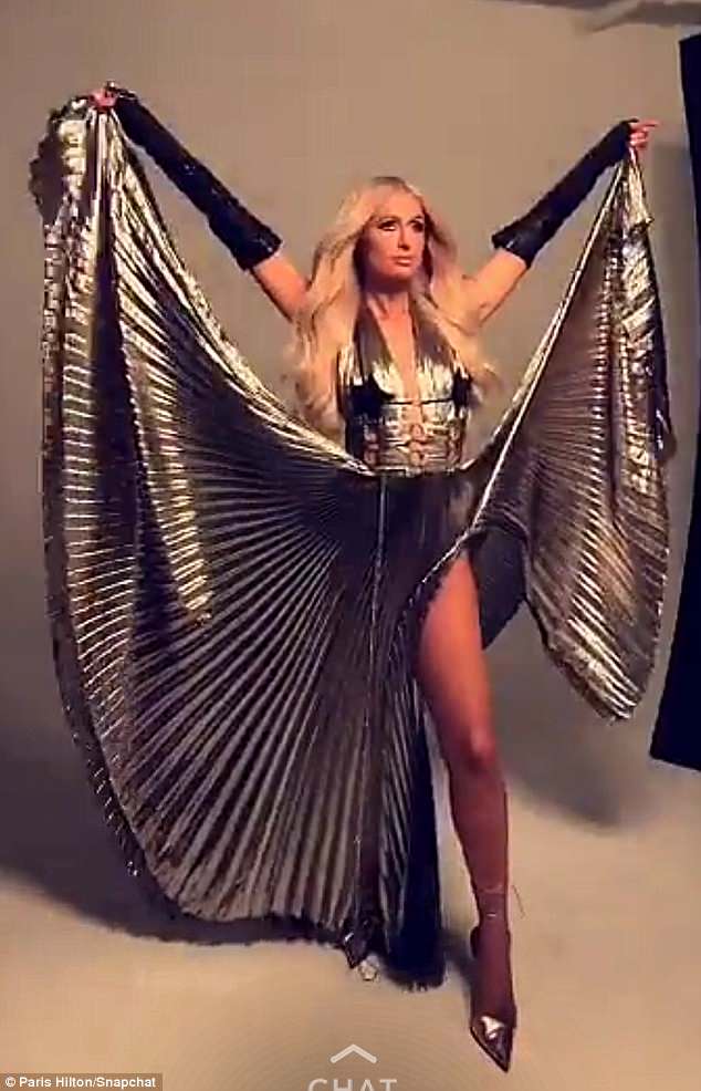 The Raven Gloves - M/L [SAMPLE SALE]