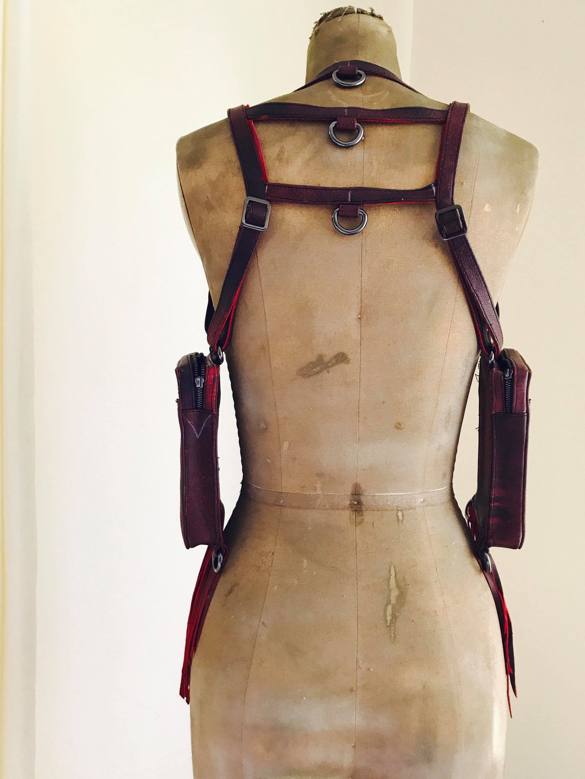 Singularity Fringe [CELEBRATION]