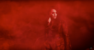 The Venus Jacket [CELEBRATION]