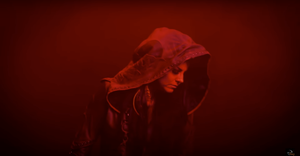 The Venus Jacket [CELEBRATION]