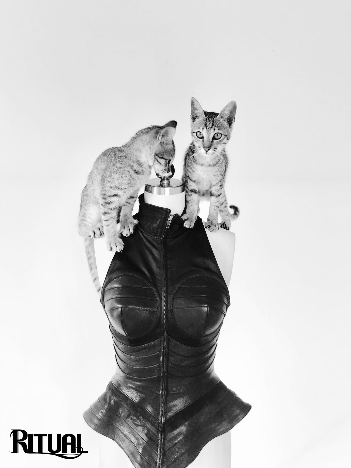 The Atomica Vest [CELEBRATION]