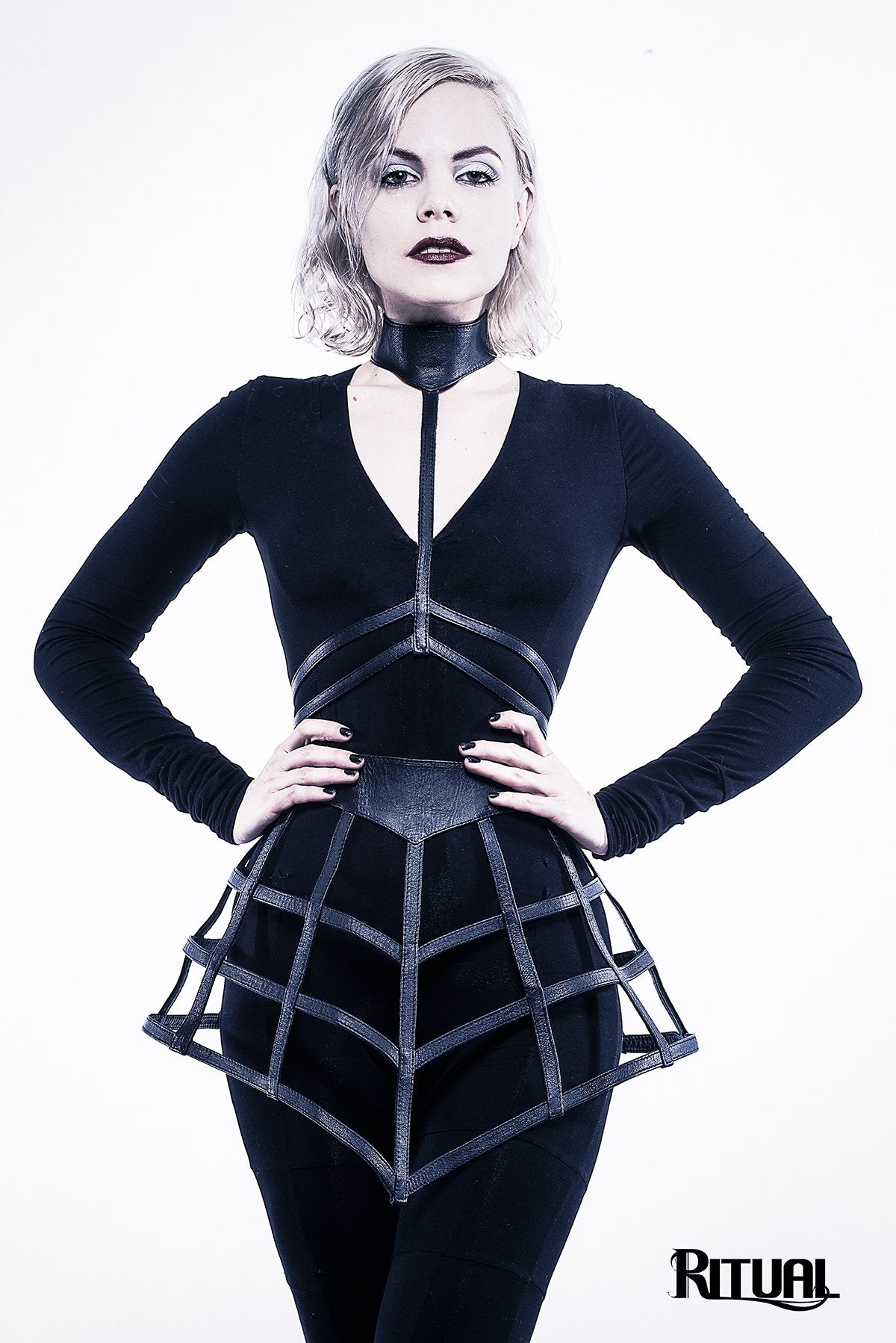 Carbon Harness Set [CELEBRATION]