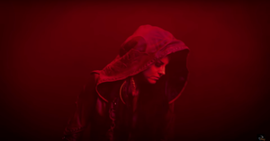 The Venus Jacket [CELEBRATION]