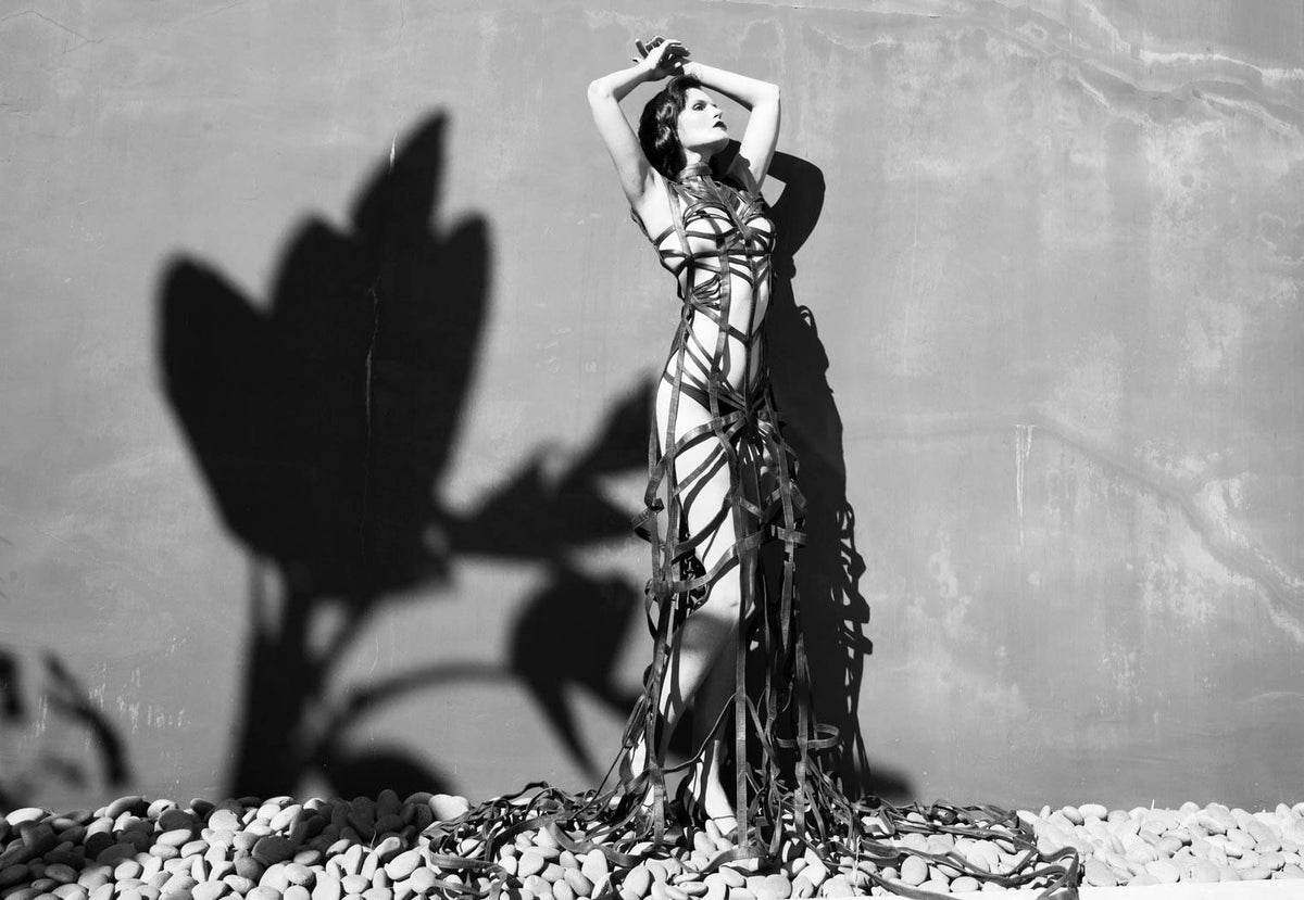 Gowns - The Caged Dress